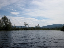 IMG 5590